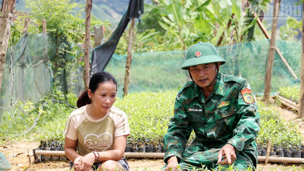 Bộ đội Biên phòng Tổ công tác Rào Tre hướng dẫn bà con dân tộc Chứt quy trình trồng, chăm sóc dó trầm.