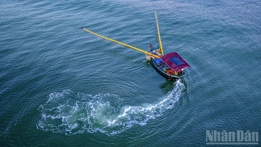 Vẻ đẹp thơ mộng bãi biển Hà Tĩnh. (Ảnh: ĐẬU HÀ)