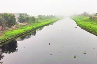 Nước sông Nhuệ đoạn chảy qua huyện Thường Tín (Hà Nội) bị ô nhiễm.