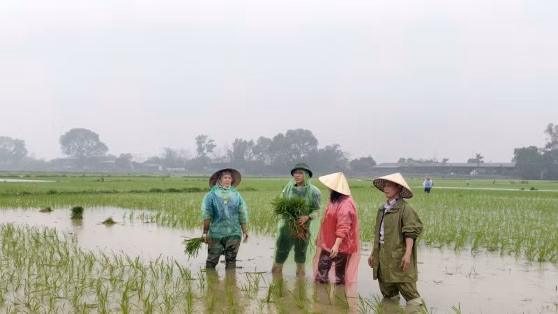Lãnh đạo phường Tam Sơn, tỉnh Bắc Ninh, xuống đồng, động viên bà con sản xuất đầu năm.