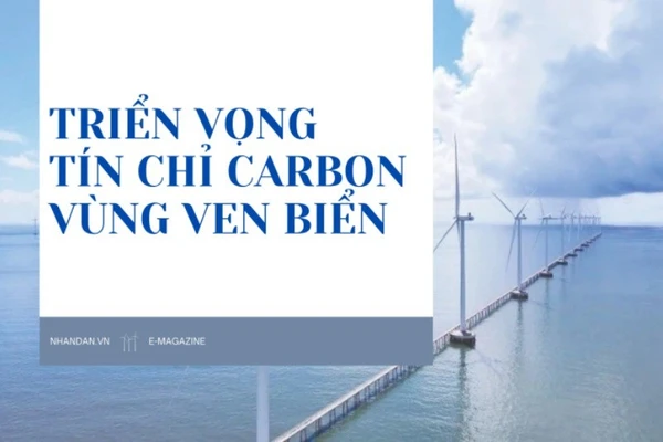 Triển vọng tín chỉ carbon vùng ven biển
