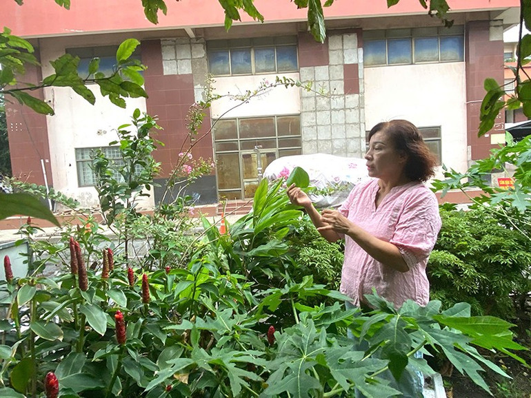 Vườn rau, công viên nhỏ xinh “giữa lòng đô thị” do các hội viên Chi hội phụ nữ Khu phố 38, phường Nhiêu Lộc chăm sóc (ảnh: QUÝ HIỀN) gen-h-z6861996230527-2777864cf2b45b1aa0470e6735c4edcd.jpg