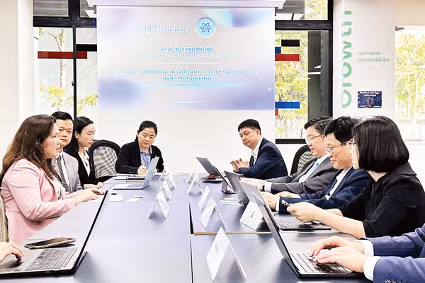 Hoạt động trao đổi về hợp tác đổi mới sáng tạo Việt Nam-Singapore. (Ảnh: Bộ Khoa học và Công nghệ Việt Nam)