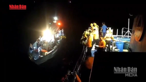 [Video] Philippines: Chìm phà chở 359 người, ít nhất 15 người thiệt mạng