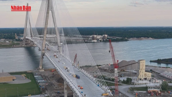 [Video] Tổng thống Mỹ D. Trump cảnh báo chặn cầu nối Mỹ và Canada 