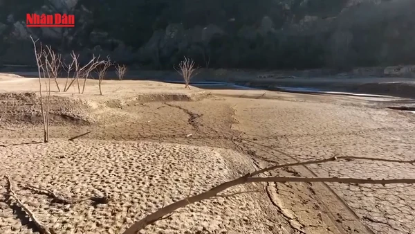 [Video] Gần 550.000 người tử vong vì nắng nóng cực đoan mỗi năm 