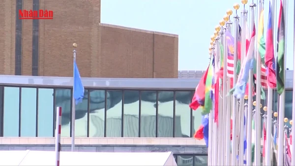 [Video] Mỹ sẽ rút khỏi 66 tổ chức quốc tế và cơ quan Liên hợp quốc 