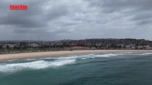 [Video] Australia lập ủy ban điều tra hoàng gia về bài Do Thái 