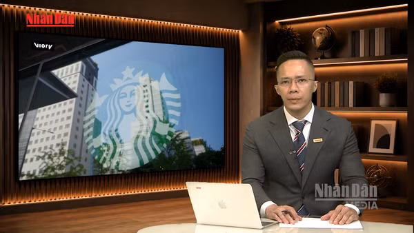 [Video] Tiêu điểm 8/6/2026: Người Hàn nổi giận với Starbucks và câu chuyện đằng sau