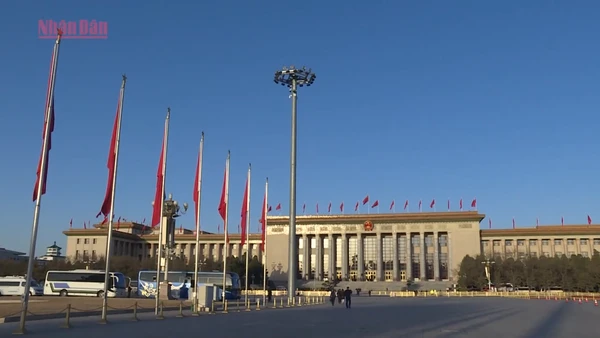 [Video] Trung Quốc yêu cầu Thủ tướng Nhật Bản rút phát biểu về đảo Đài Loan 