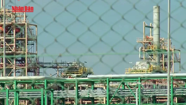 [Video] Mỹ để ngỏ kết thúc chiến sự tại Iran sớm, giá dầu thế giới giảm mạnh 