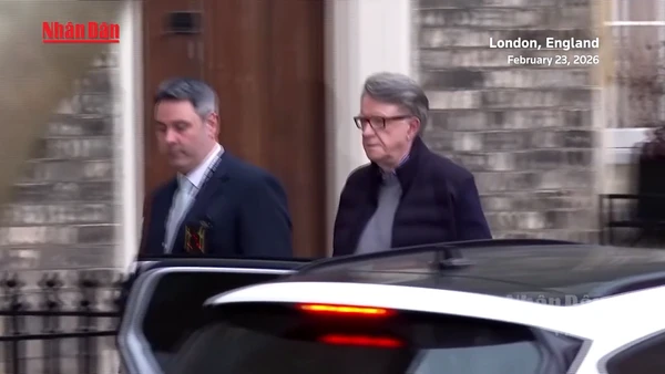 [Video] Cựu Đại sứ Anh tại Mỹ P. Mandelson bị bắt vì bê bối Epstein 