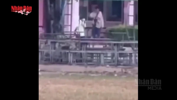 [Video] Nghi phạm 18 tuổi nổ súng tại trường học ở Thái Lan, 2 người bị thương 