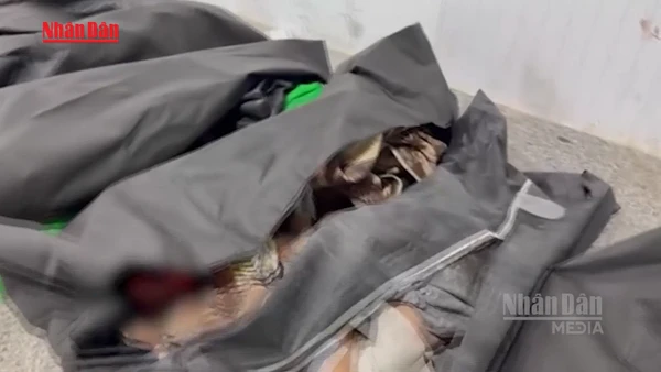 [Video] Mỹ cử tướng cấp cao điều tra vụ không kích trường tiểu học tại Iran 