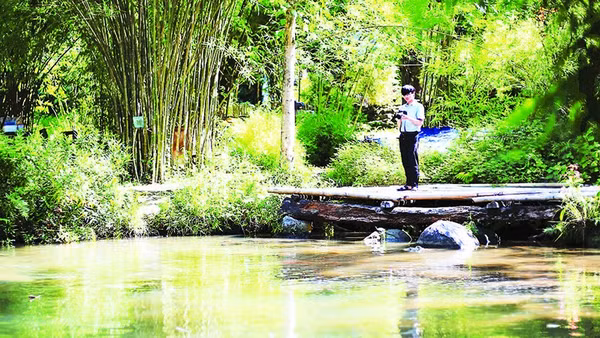 1- Hồ nước nằm giữa khu vườn giúp không gian thêm mát mẻ. 