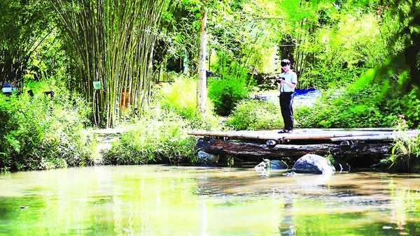 1- Hồ nước nằm giữa khu vườn giúp không gian thêm mát mẻ. 