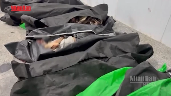 [Video] Tranh cãi về bên chịu trách nhiệm tấn công trường học tại Iran 