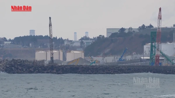 [Video] Nhật Bản dần quay lại điện hạt nhân sau 15 năm thảm họa Fukushima 