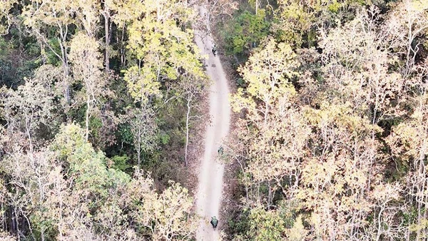 Lực lượng quản lý, bảo vệ rừng của Ban Quản lý rừng phòng hộ Nam Cát Tiên, tỉnh Lâm Đồng trên các cung đường tuần tra rừng dịp Tết Nguyên đán.