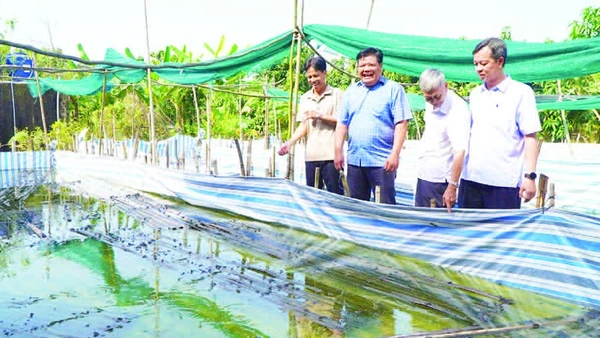 Đồng chí Phan Thanh Phương (thứ hai từ trái sang) đến thăm mô hình nuôi ếch sinh sản ở ấp Bình Hòa, xã Bình Thành.