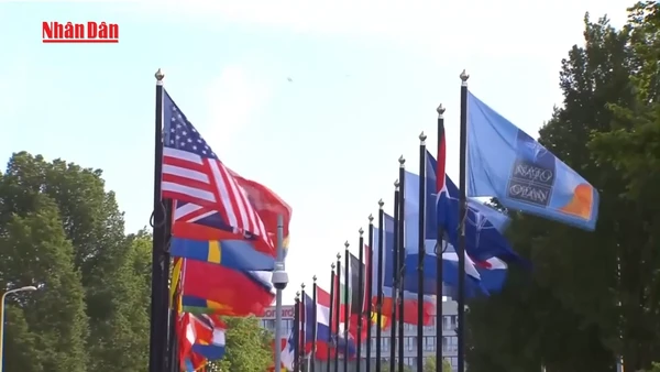[Video] Mỹ muốn châu Âu “gánh” NATO trước 2027 