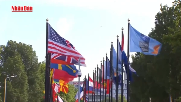 [Video] Ukraine lần đầu tiên tham gia diễn tập ứng phó theo Điều 5 NATO 