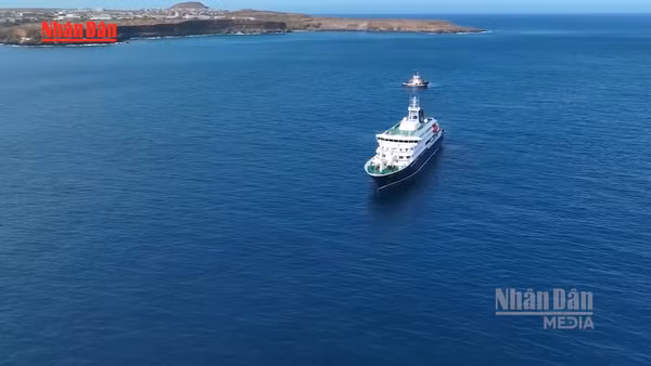 [Video] Argentina điều tra khả năng liên quan ổ dịch virus Hanta trên tàu Hà Lan 