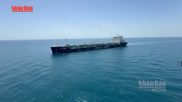 [Video] Giá dầu giảm mạnh trước thông tin Mỹ - Iran có thể dừng xung đột 