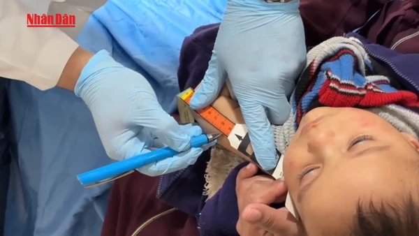 [Video] WHO khôi phục nhiều dịch vụ y tế và tiêm chủng cho trẻ em tại Dải Gaza 
