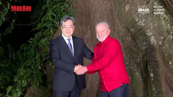 [Video] Trung Quốc kêu gọi dỡ rào cản thương mại để thúc đẩy chuyển đổi xanh toàn cầu 