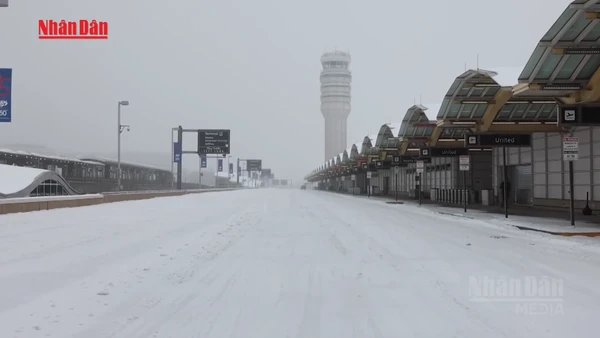 [Video] Bão mùa Đông tại Mỹ có thể gây thiệt hại lên tới 115 tỷ USD