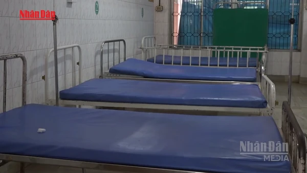 [Video] Ấn Độ bác thông tin “dịch Nipah bùng phát diện rộng”