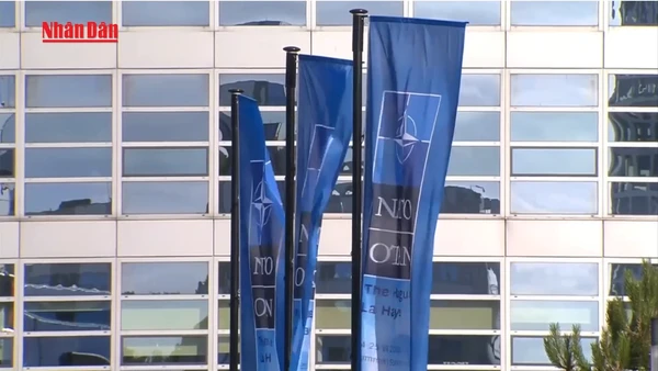 [Video] NATO điều quân tới Greenland giữa căng thẳng Mỹ – Đan Mạch 