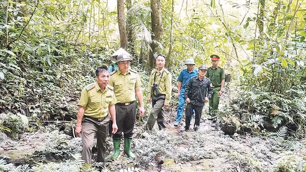 Cán bộ Hạt Kiểm lâm khu vực 5 cùng lực lượng chức năng thường xuyên tuần tra, bảo vệ rừng.