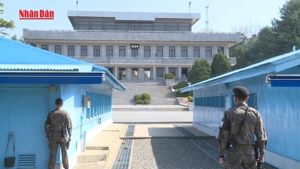 [Video] Tổng thống Hàn Quốc kêu gọi kiên trì giảm căng thẳng liên Triều 