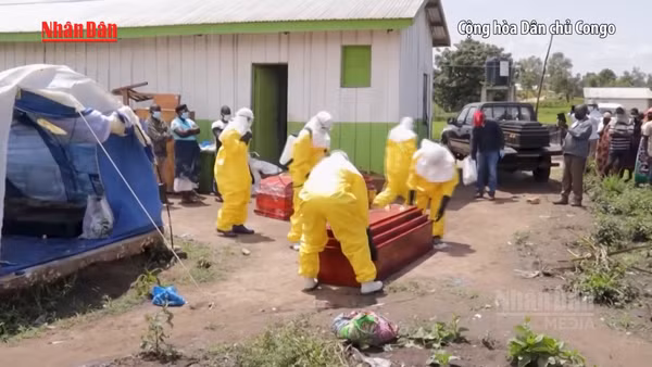 [Video] WHO: Chủng Ebola Bundibugyo khiến 30-50% bệnh nhân tử vong 