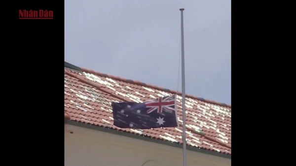 [Video] Australia siết quản lý súng đạn sau vụ thảm sát tại Bondi, Sydney 