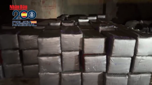 [Video] Tây Ban Nha thu giữ lượng ma túy đường biển lớn nhất lịch sử 