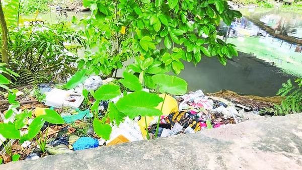 Rác thải tràn ngập hai bên bờ nhiều con rạch ở ngay giữa trung tâm thành phố.