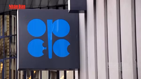 [Video] Nga cảnh báo sự thiếu vắng của UAE làm suy yếu OPEC 