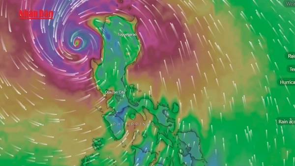 [Video] Siêu bão Phượng Hoàng càn quét Philippines, ghi nhận số thương vong đầu tiên