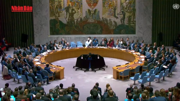 [Video] Liên hợp quốc thông qua kế hoạch triển khai lực lượng ổn định quốc tế tại Dải Gaza 