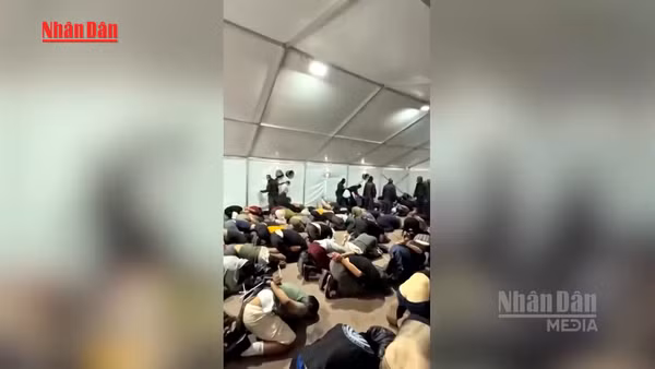 [Video] Các nhà hoạt động vì Dải Gaza cáo buộc bị ngược đãi tại Israel 