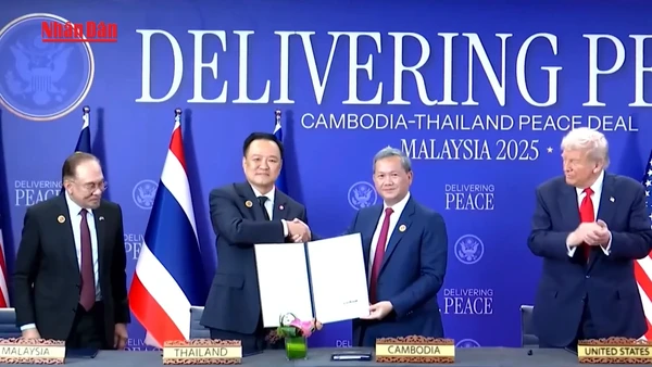 [Video] Campuchia lên tiếng về việc Thái Lan đình chỉ thỏa thuận hòa bình 