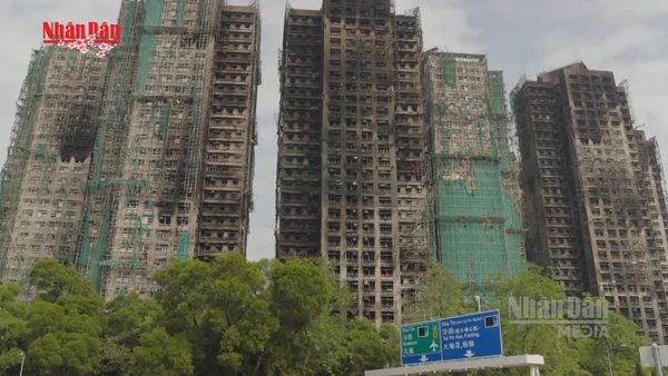 [Video] Hong Kong: Người dân chung cư Wang Fuk Court được trả tiền để mua nhà mới 