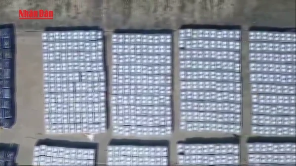 [Video] Colombia thu giữ 4 tấn cocaine giữa tranh cãi với Mỹ 