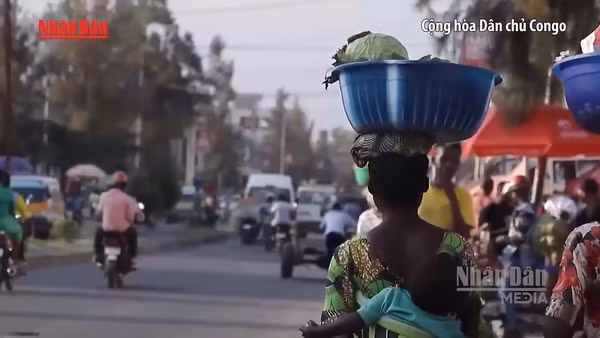 [Video] WHO cảnh báo nguy cơ gián đoạn thương mại tại châu Phi vì dịch Ebola 