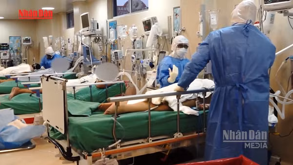 [Video] Chile: Số ca nhiễm virus Hanta gia tăng, tỷ lệ tử vong hơn 30% 