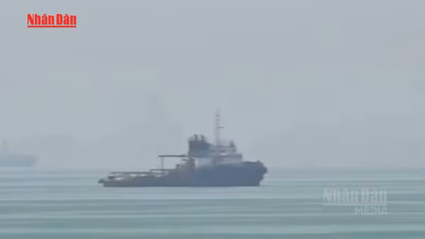 [Video] Tàu thuyền “đứng yên” tại Eo biển Hormuz, đàm phán Mỹ – Iran đình trệ 