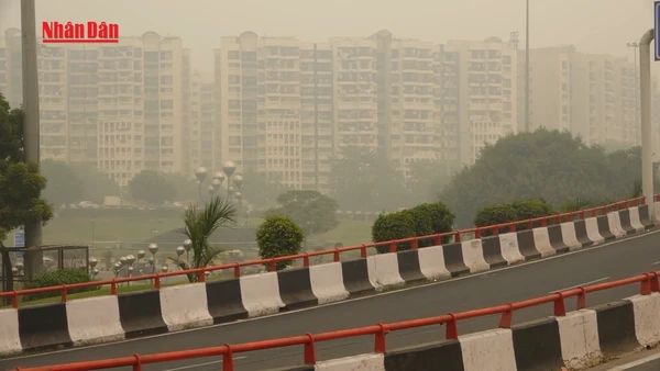 [Video] Thủ đô Ấn Độ ban hành nhiều biện pháp đối phó ô nhiễm không khí 